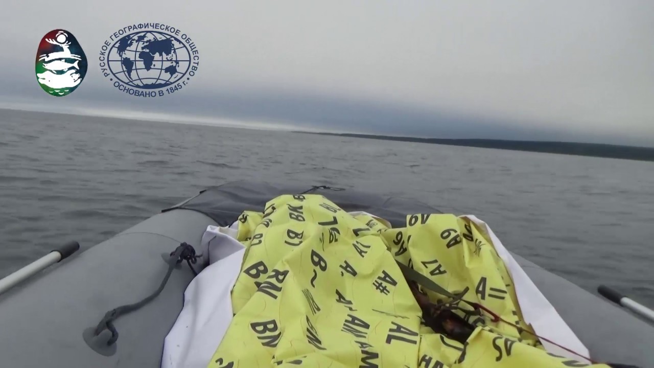 Морские обитатели Кроноцкого заповедника