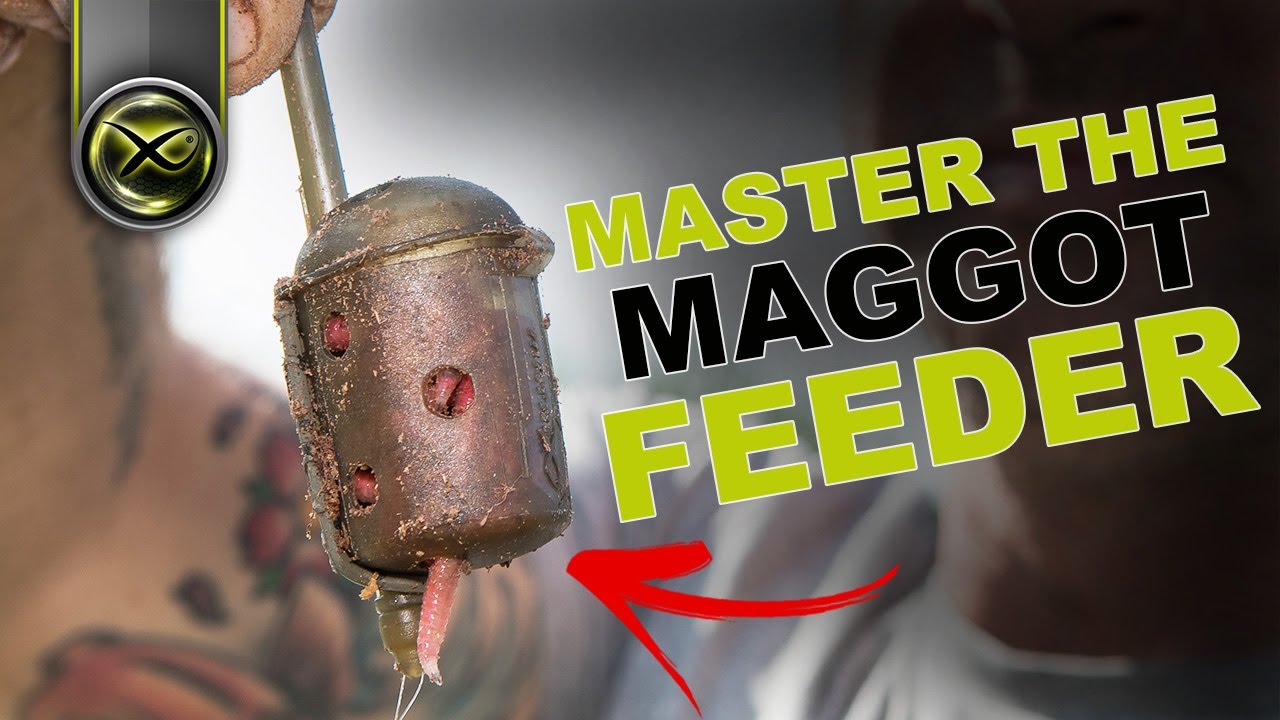 MASTER THE MAGGOT FEEDER! (with Ben Townsend)