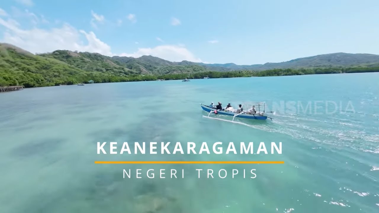[FULL] KEANEKARAGAMAN NEGERI TROPIS | JEJAK PETUALANG (02/10/24)