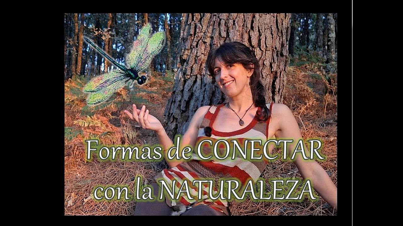 🍂Tipos de MEDITACIÓN en la NATURALEZA🍃 #pazinterior #conexiónconlanaturaleza 