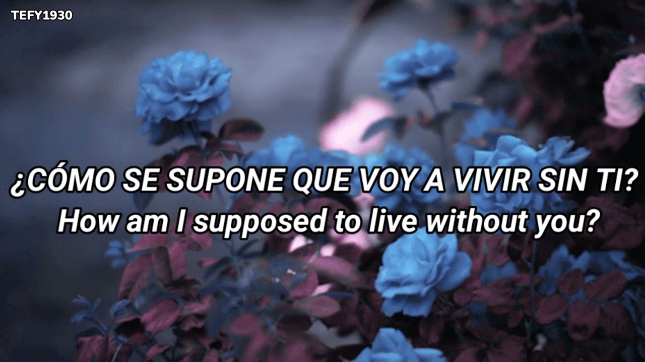 Michael Bolton - How Am I Supposed To Live Without You •Subtitulado Español•
