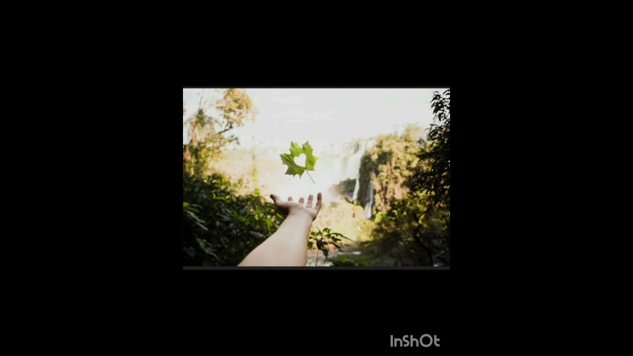 Albania remix  je je