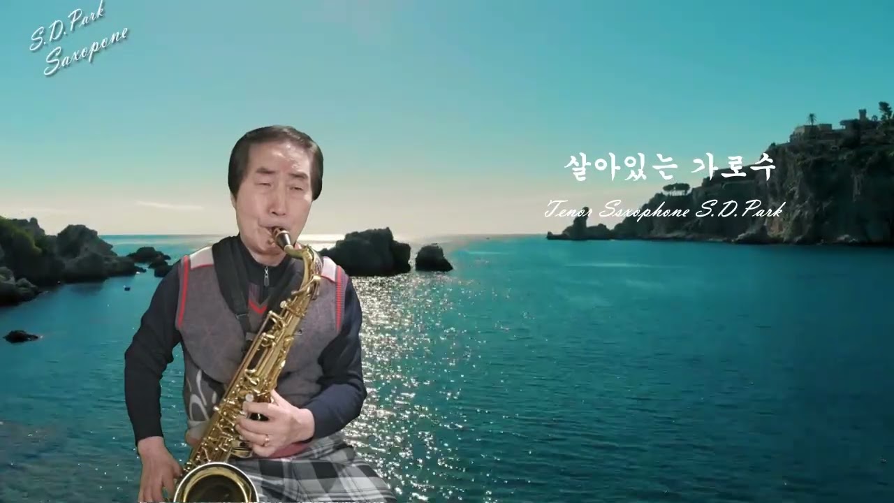 살아있는 가로수 테너 쎅소폰 연주곡 박상덕