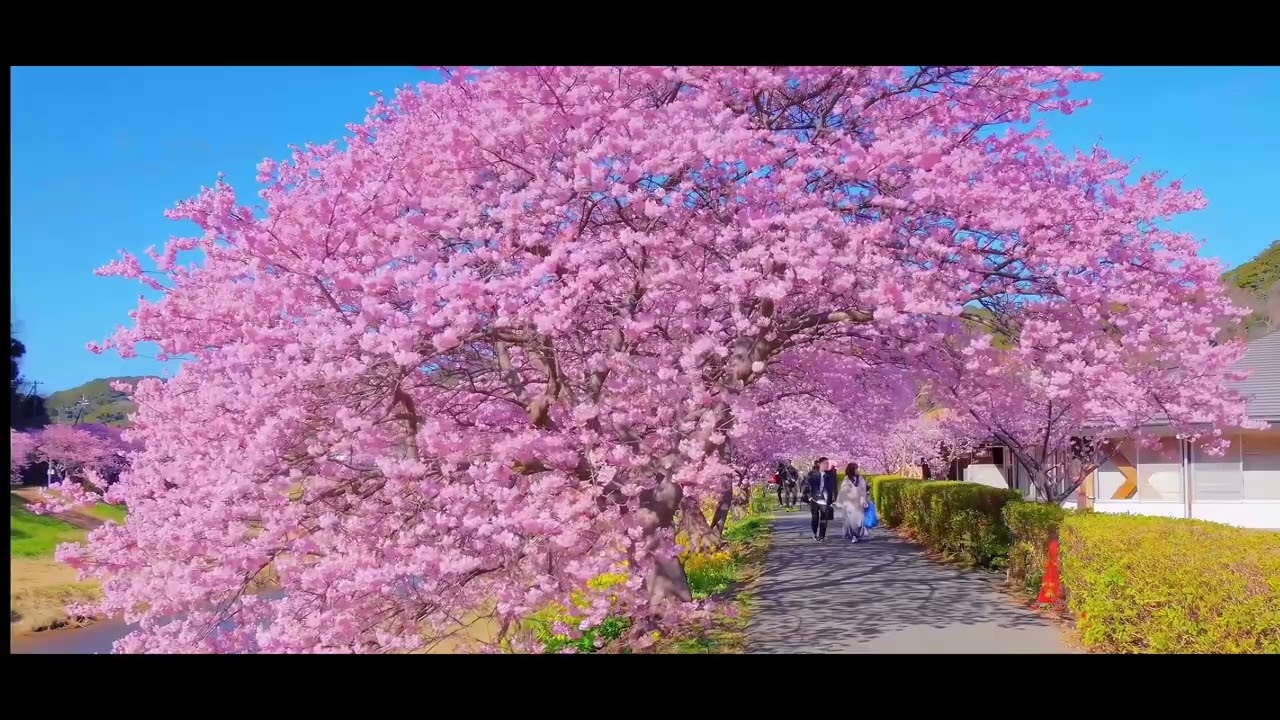 Through the Eyes of a Photographer