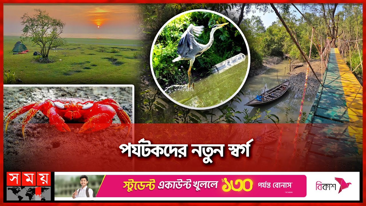 প্রকৃতির স্বর্গরাজ্য চর কুকরি-মুকরি | Char Kukrimukri | Bhola | New Tourist Spot | Somoy TV