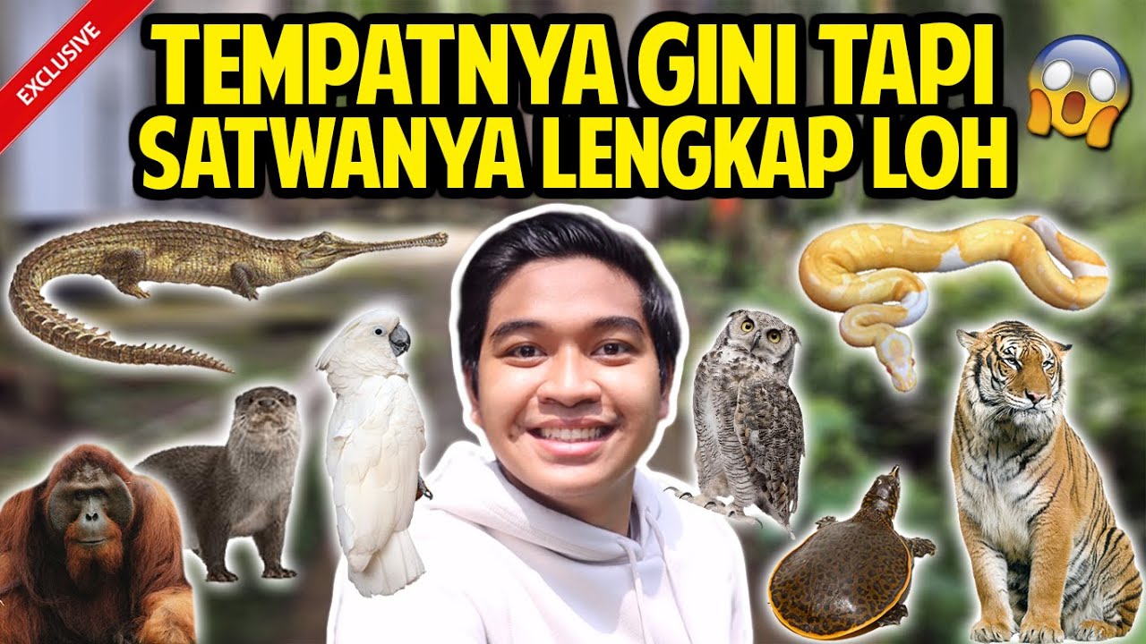 CIKEMBULAN ZOO PART 1 | KEBUN BINATANG GARUT | TEMPATNYA BEGINI TAPI SATWANYA SELENGKAP INI LOH!