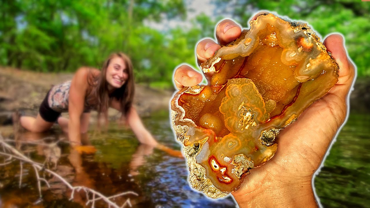 NEW DISCOVERY! Finding and CUTTING Incredible Alligator Agates from a Florida Swamp on a Rock Saw!