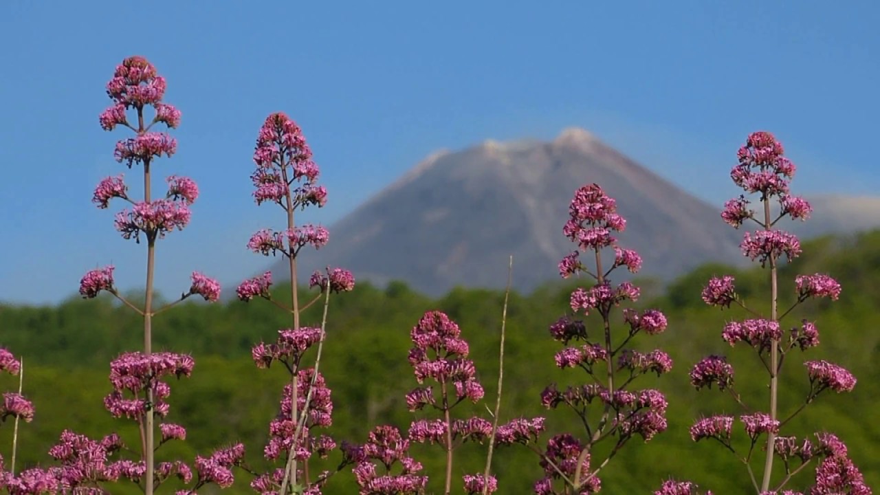 Monti Sartorius | Etna Est 2018