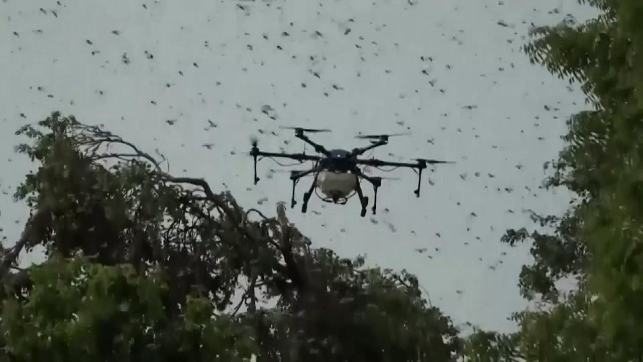 Drones vs. Locusts