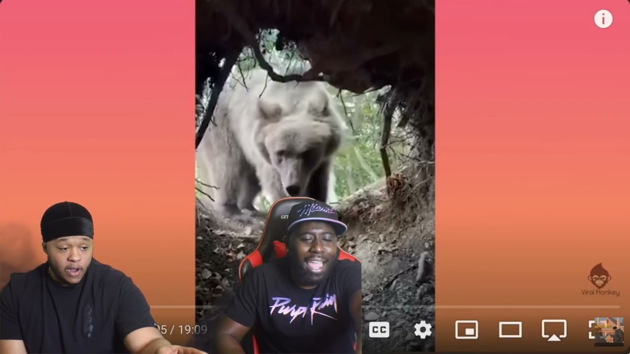 Animal ENCOUNTERS!!! REACTION!!