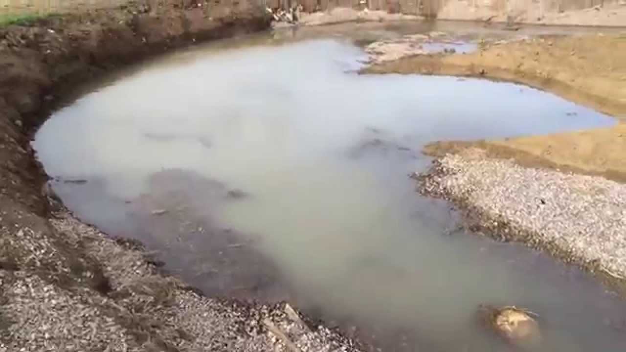 Water Habitat Creation