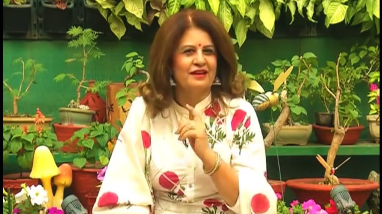 अपने बगीचे को कैसे सजाएं | Apne Garden Ko Design Kaise Kare