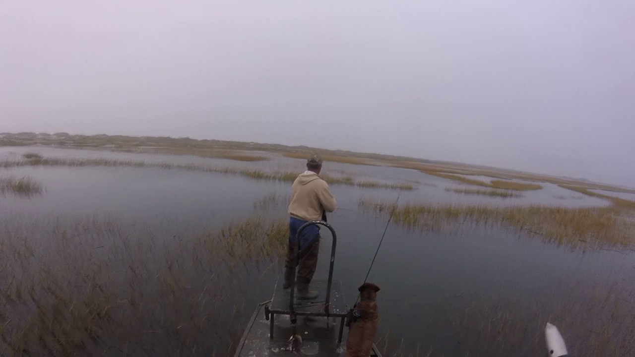 In the Gunner's Chair-- a Rail Bird/Marsh hen Hunt outside Charleston, SC
