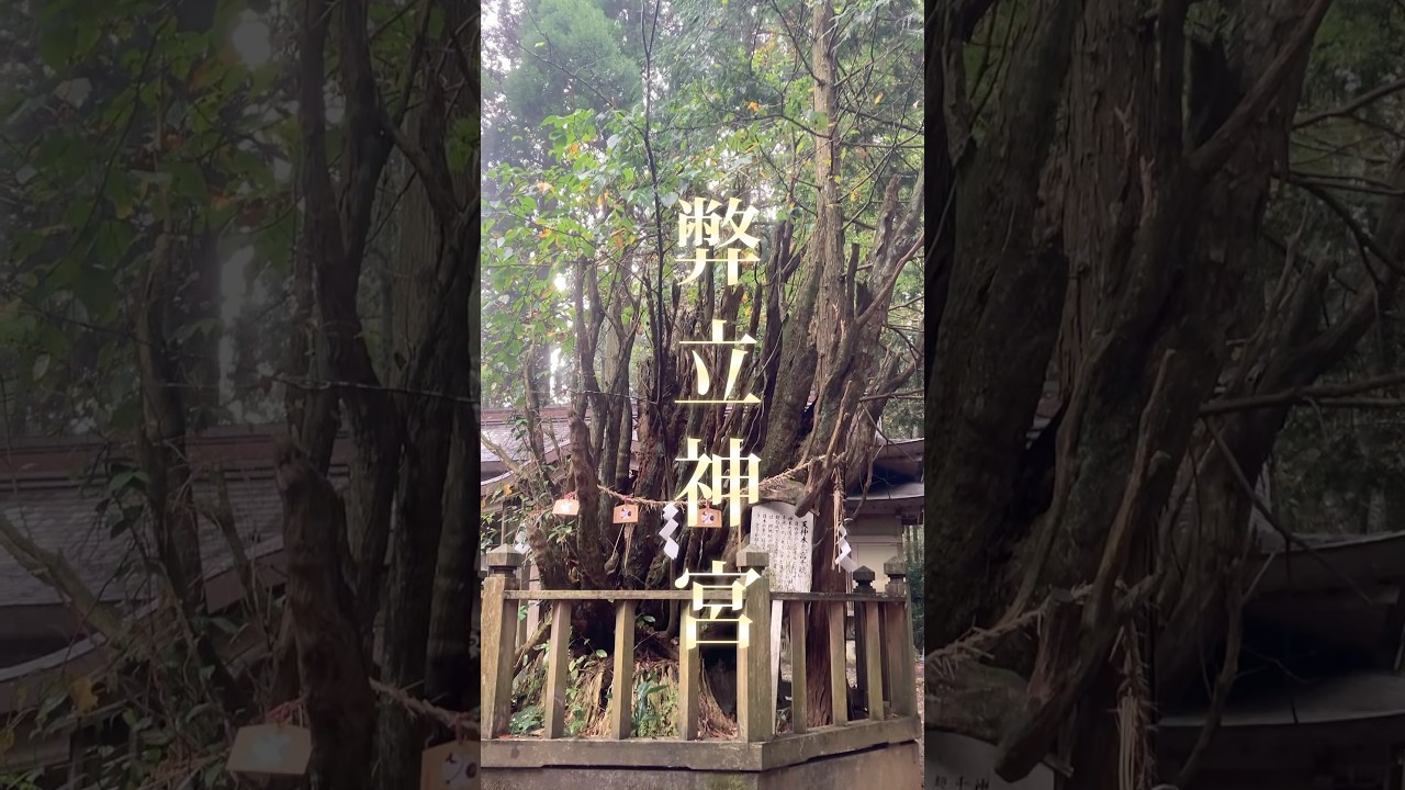 【弊立神宮シリーズ】
