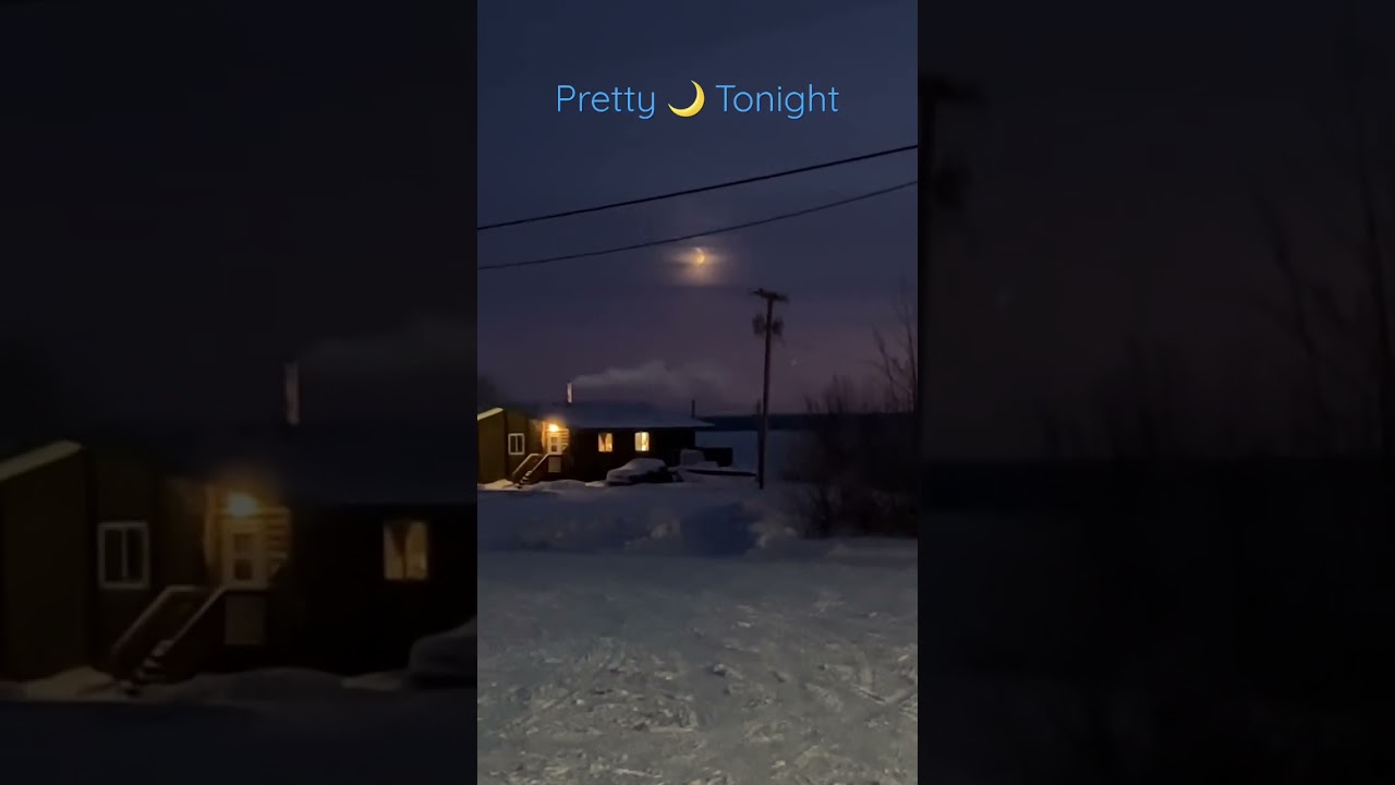арктическая снежная луна