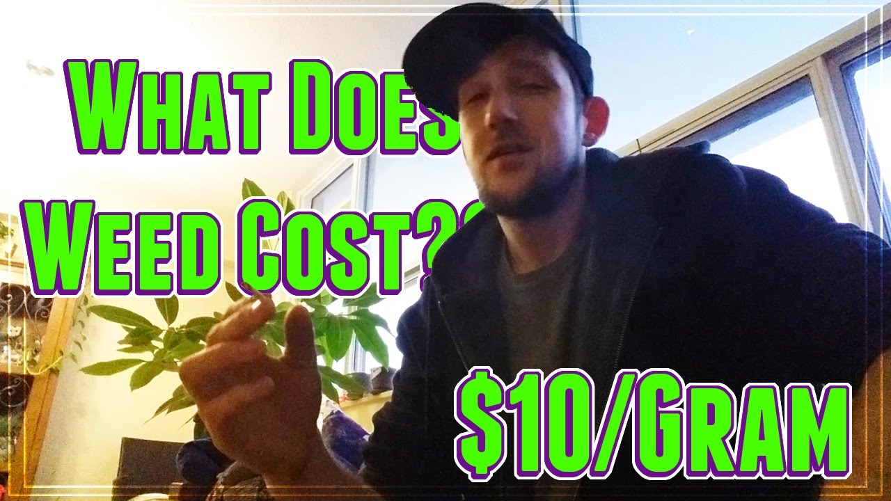 What Does Weed Cost?? || $10 Per Gram