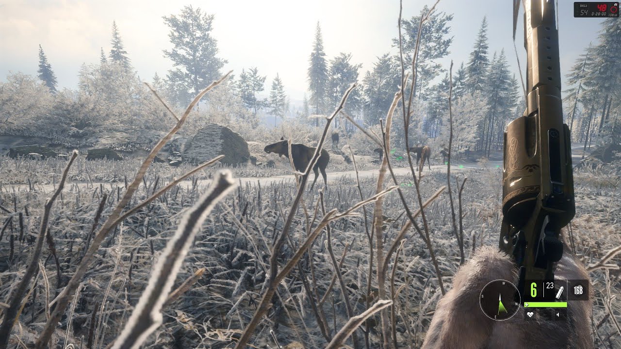 Misje i Zadania Poboczne, nie udany skok Lofta / the Hunter Call of the Wild 69 odcinek
