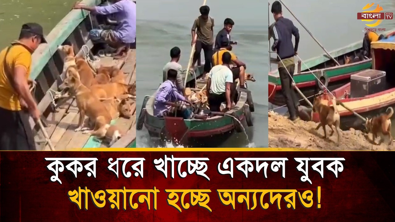 কুকুর ধ/রে নিয়ে খে