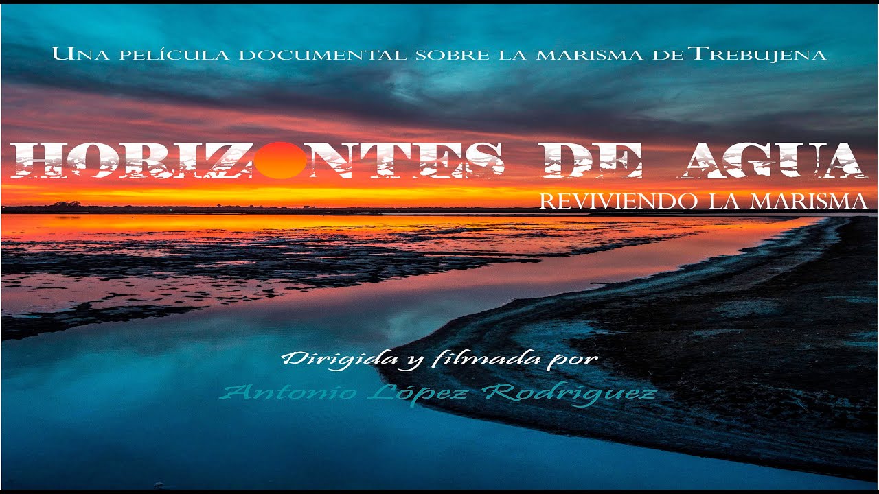 HORIZONTES DE AGUA. Reviviendo la marisma