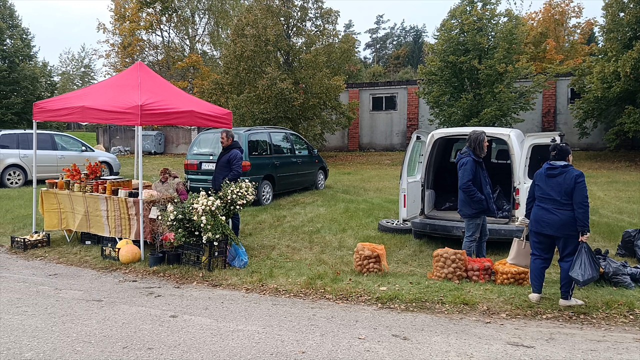 Rudens ANDELE Zosēni 2025