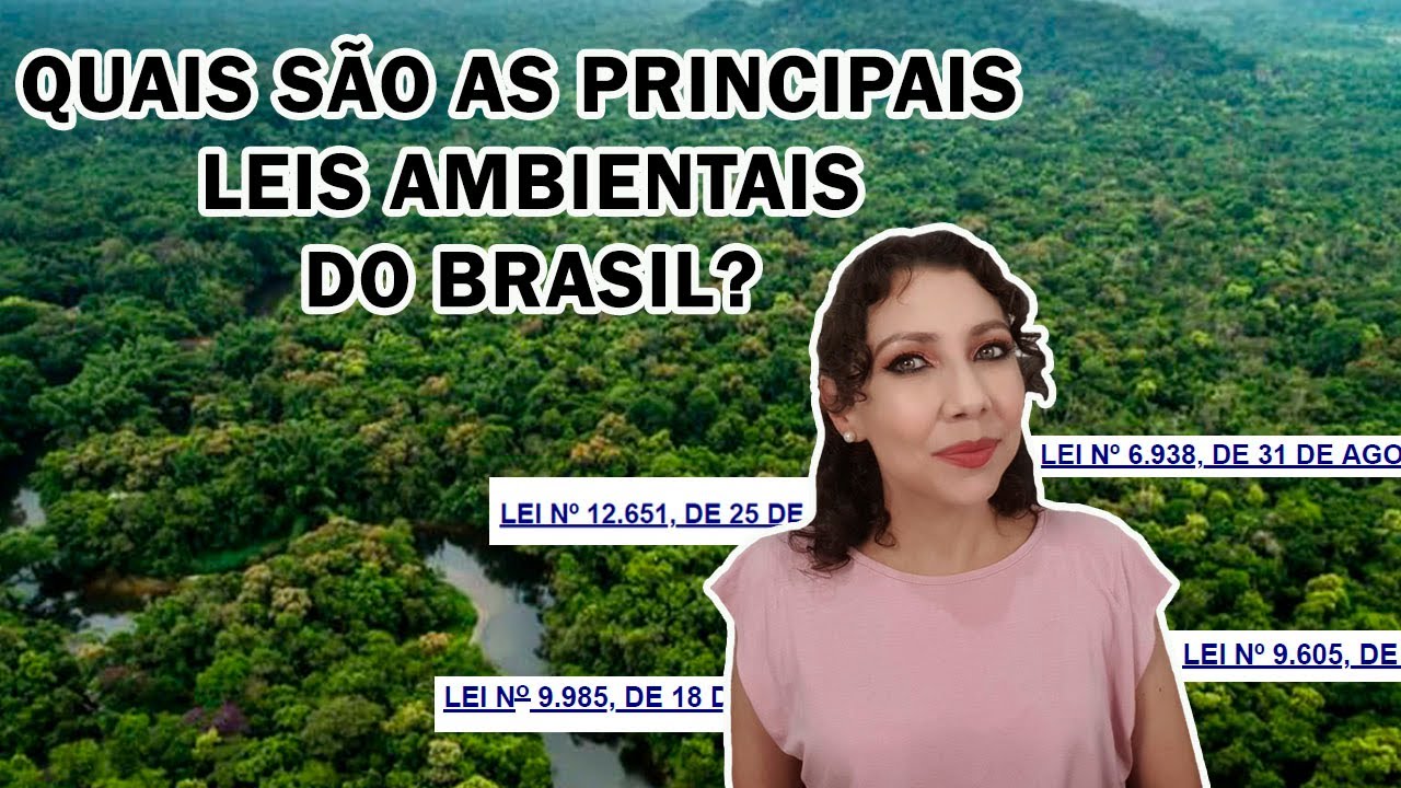 Quais s&atilde;o as principais LEIS AMBIENTAIS do BRASIL? #64