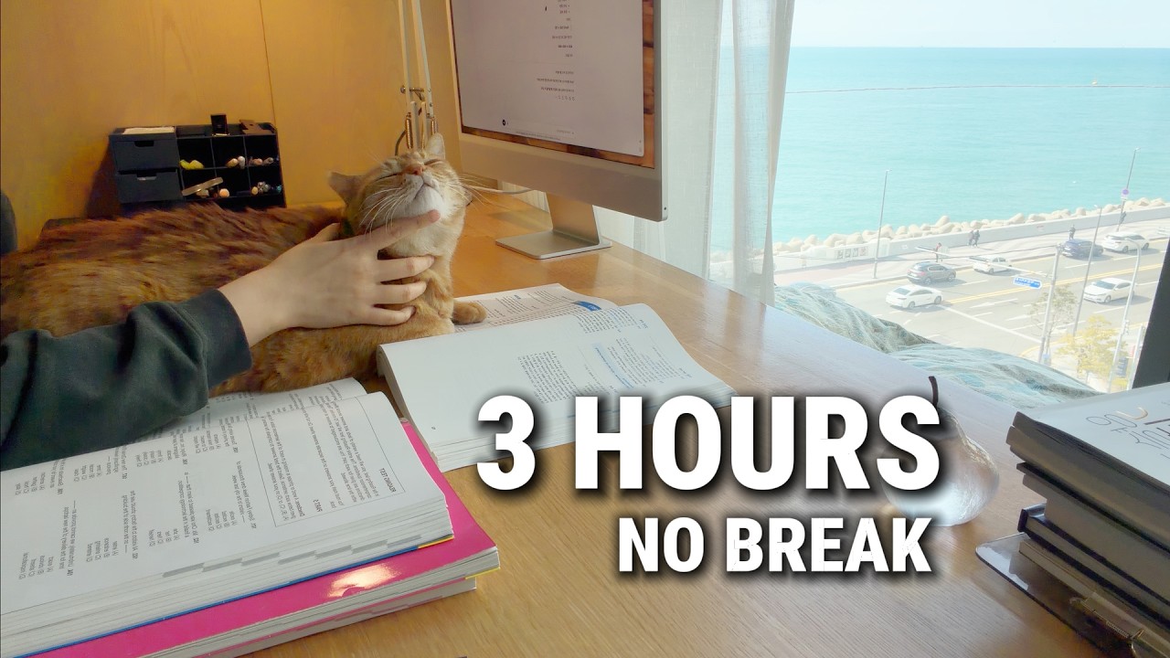 3 Hour Deep Focus Studyㅣ🌊 Ocean View & DaylightㅣReal Time TimerㅣNo Breakㅣ바다 보며 3시간 집중