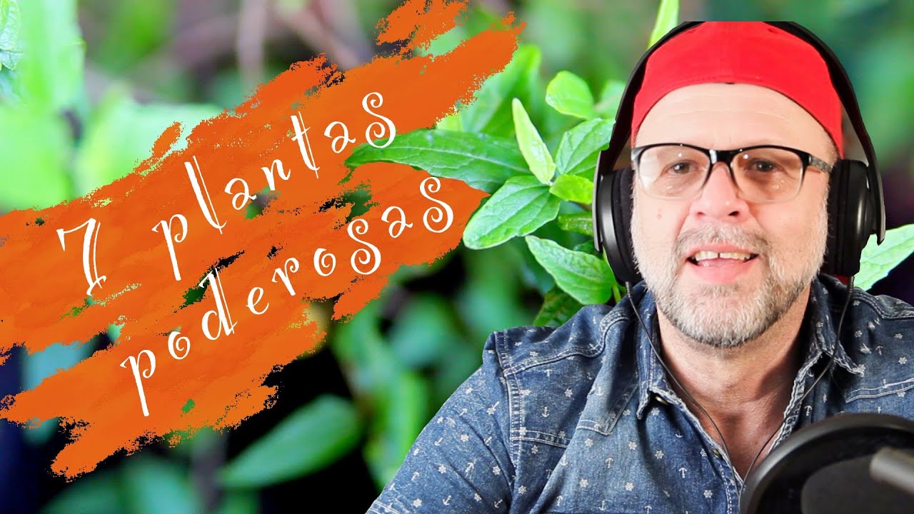 7 plantas poderosas que puedes usar para mejorar tu vida espiritual