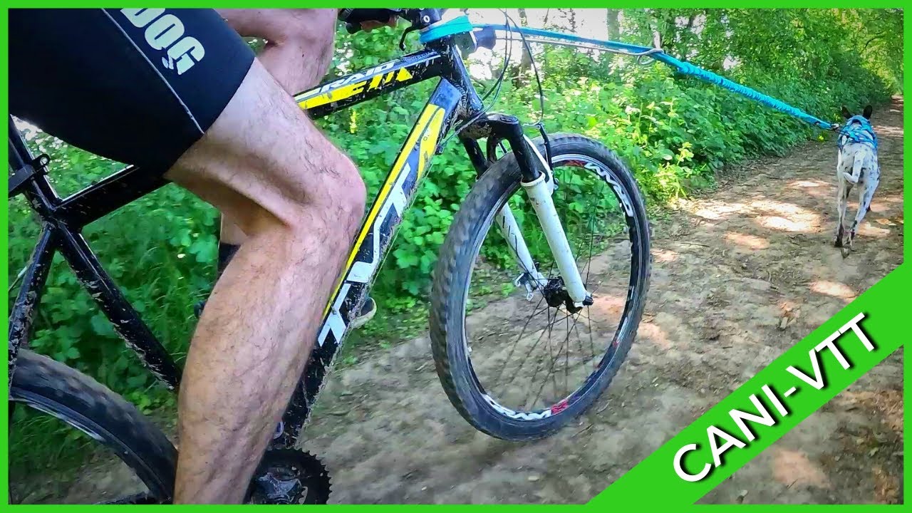 CANI-VTT EN FORÊT !