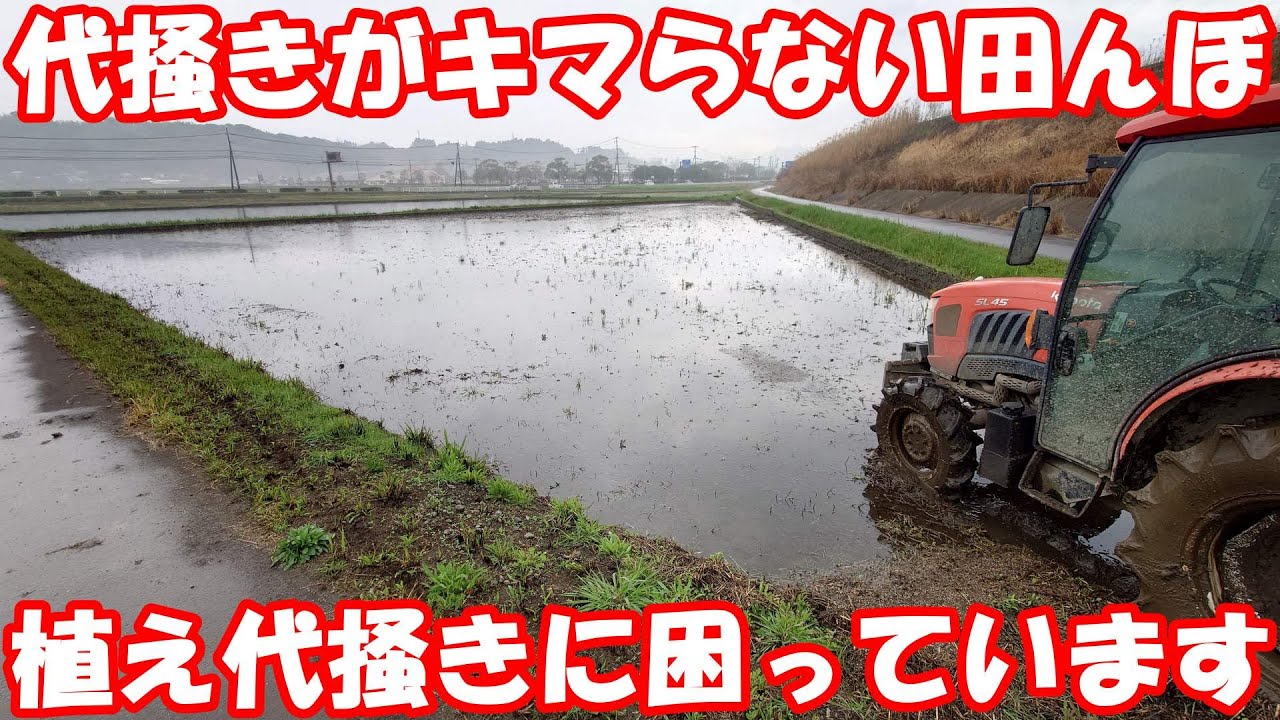 土質かな？雑草すき込みが難しい田んぼ。#代掻き