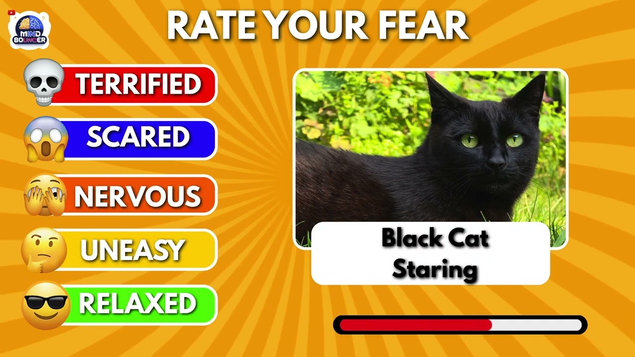 Rate Your Fear Challenge 😱💀 | Can You Handle These 50 Scary Fears? 👀🔥
