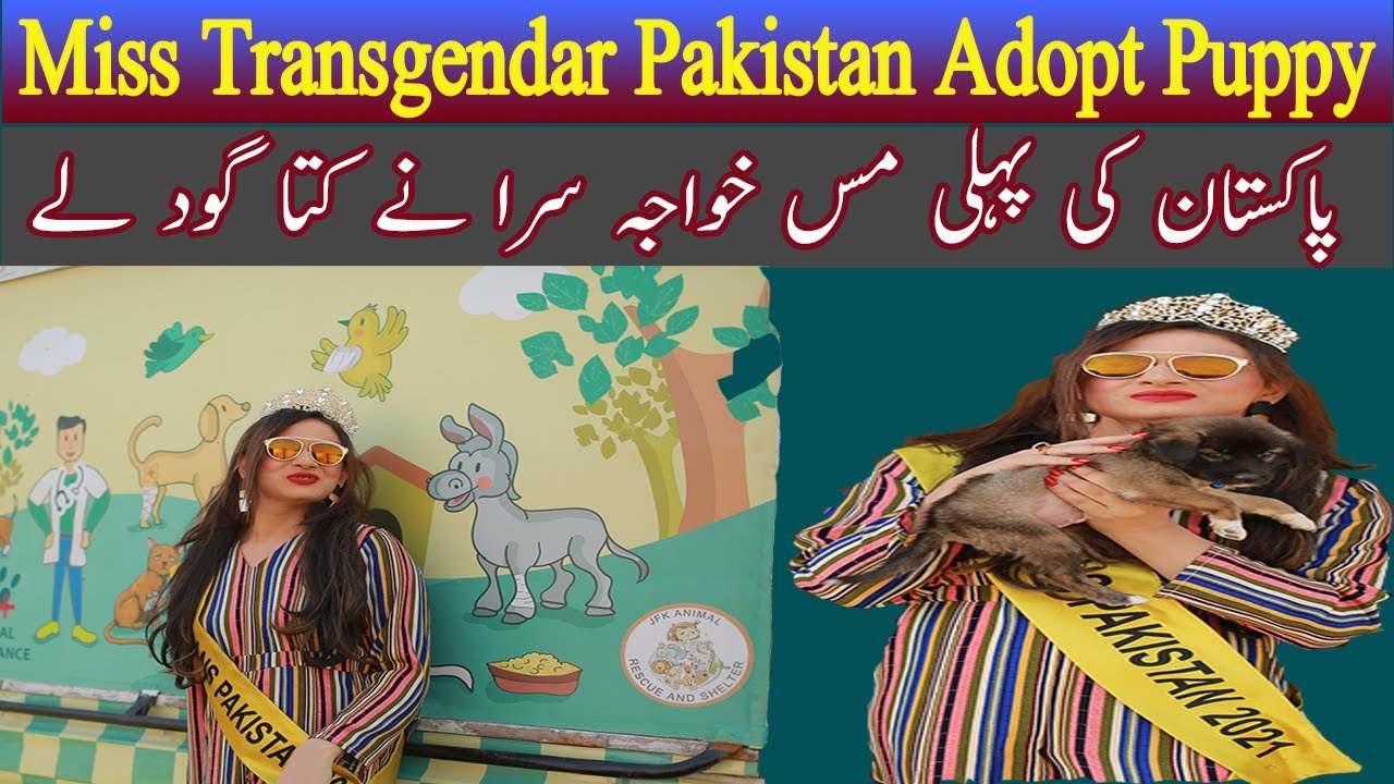 Miss Transgender Pakistan Adopt puppy dog|JFK Animal rescue and shelter|Animal walfare in Pakistan