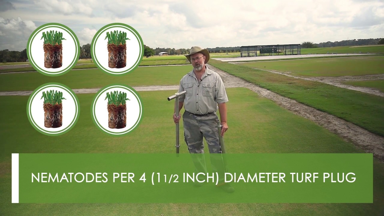 How to sample for Nematodes_New Tecnique