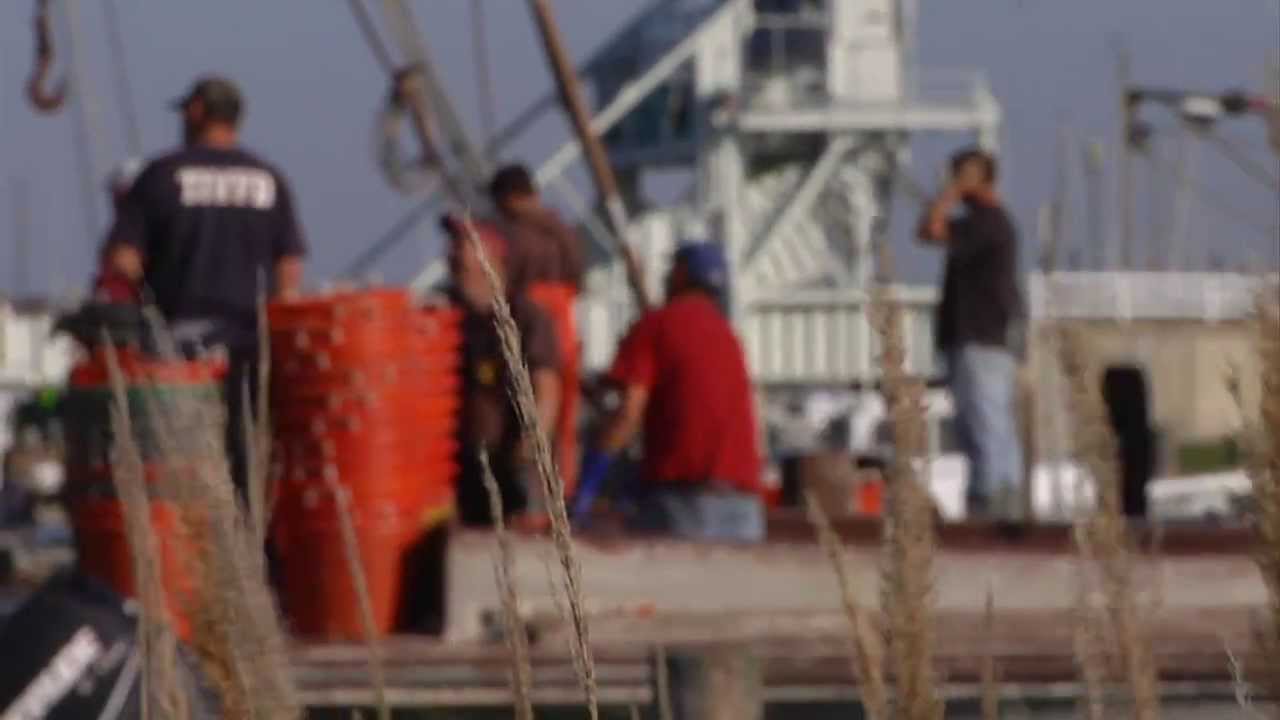 Another Dawn: Tilghman in Transition - Promo
