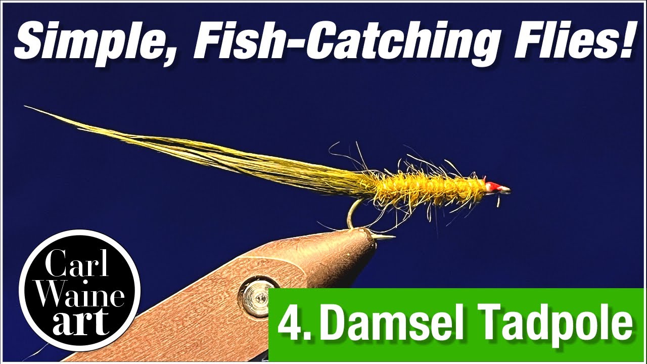 The Double Figure Specialist! The Damsel Tadpole