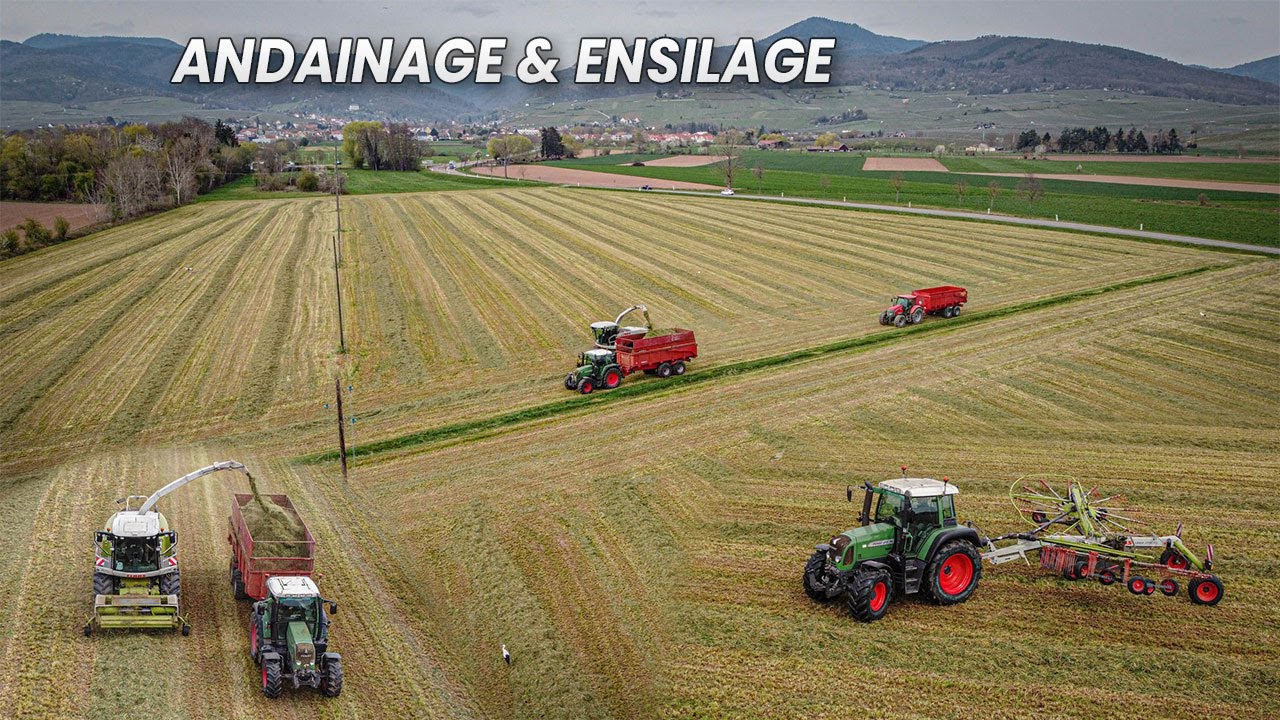 Andainage & Ensilage D'herbe 2k23 ! | Fendt & Claas Jaguar 930