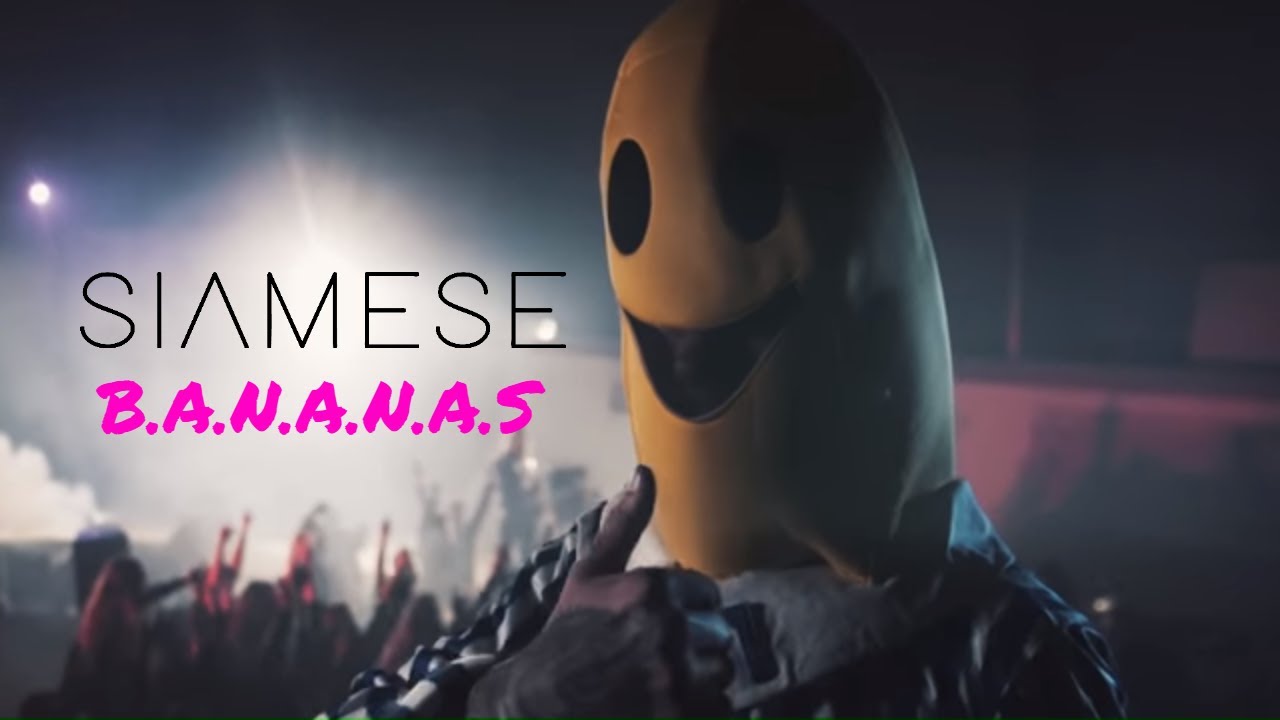 Siamese - B.A.N.A.N.A.S (Official Video)