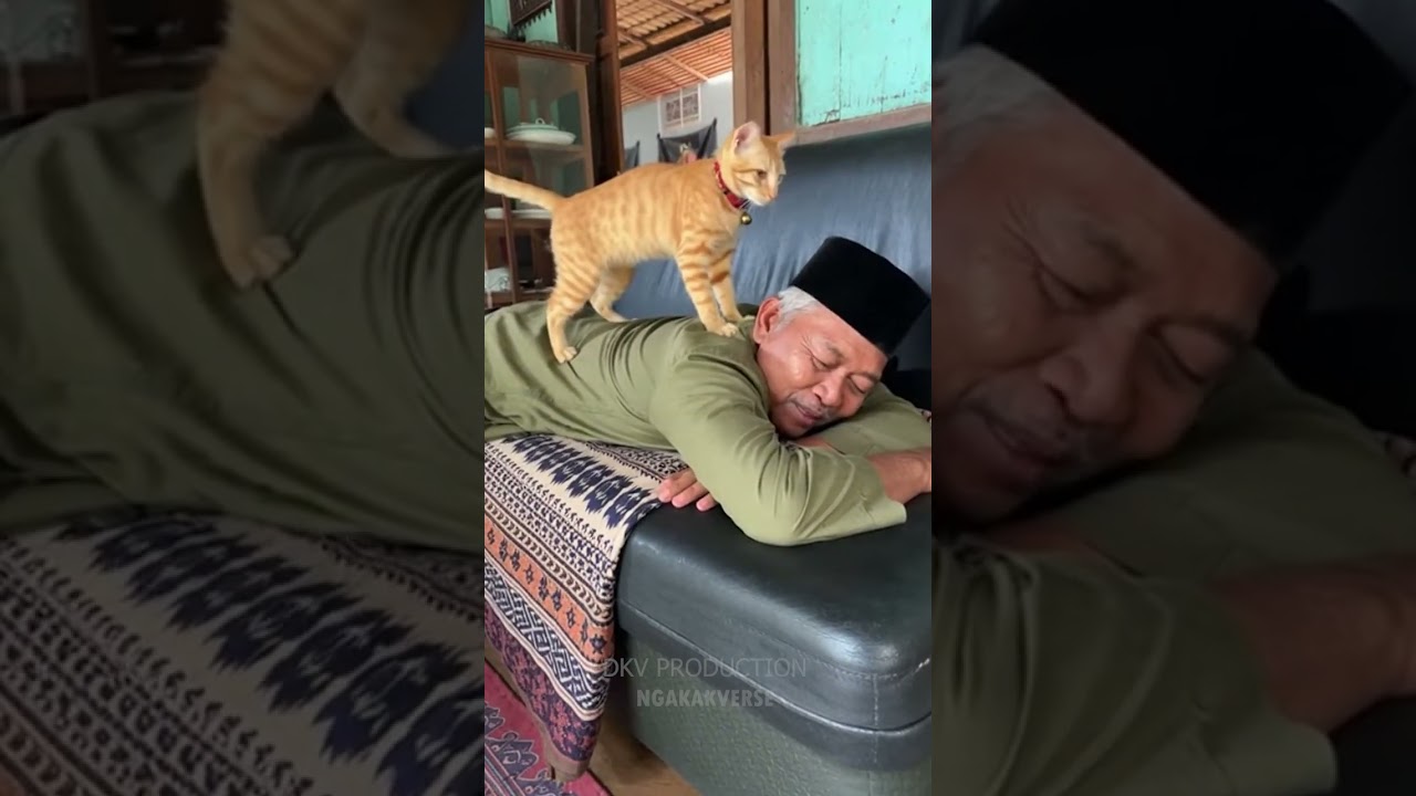 KUNYIT INTUK ORDERAN PIJET GENG'S!! 