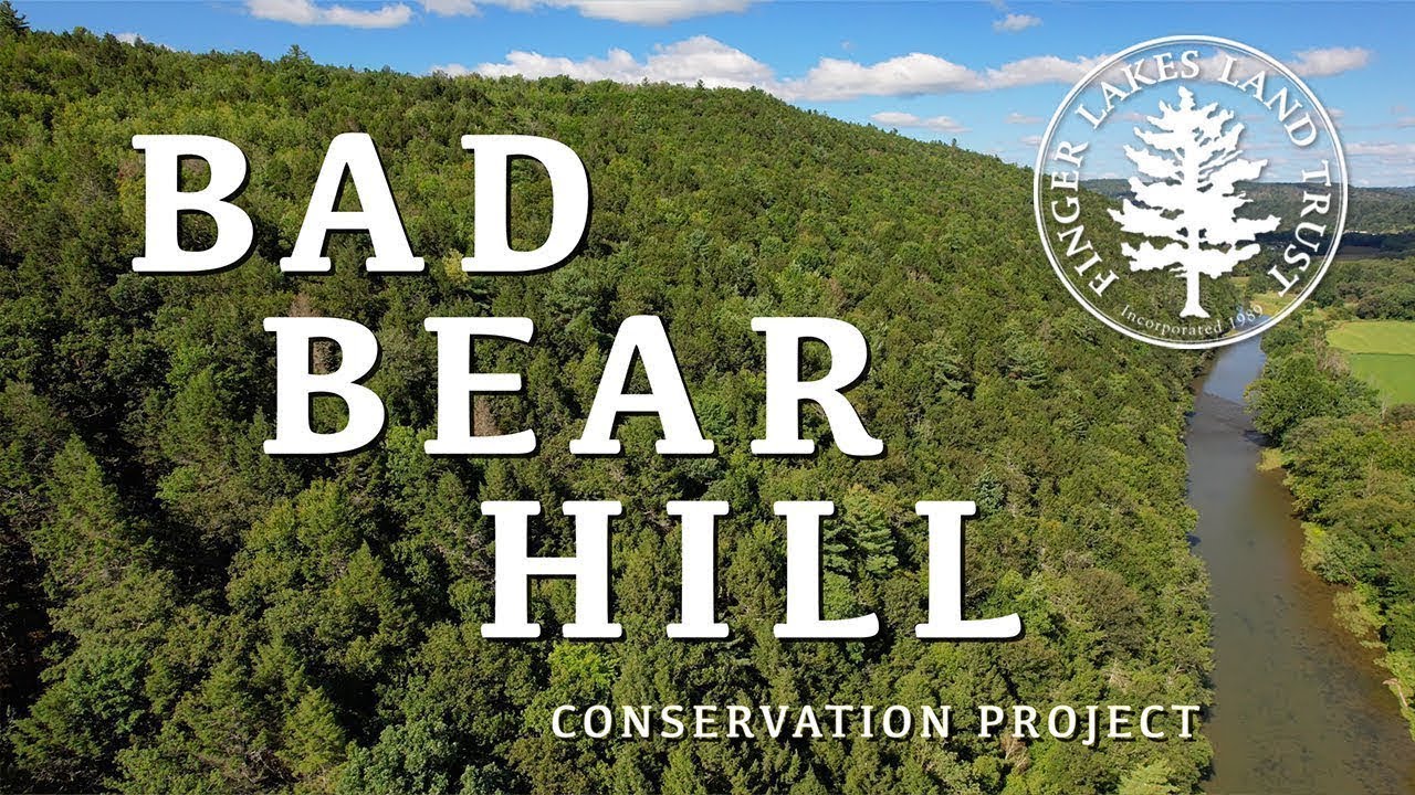 Bad Bear Hill Near Corning, New York – 992 Acres Conserved by the Finger Lakes Land Trust!