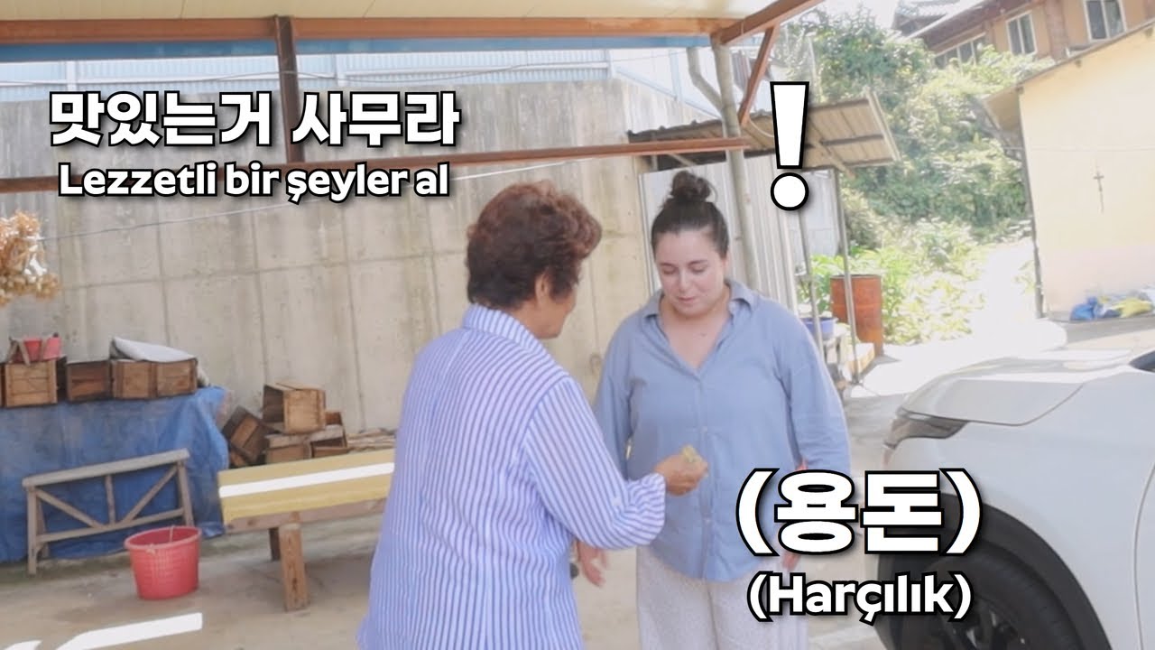 추석 명절 튀르키예 손주며느리 용돈주는 할머니 😂 🇹🇷🇰🇷