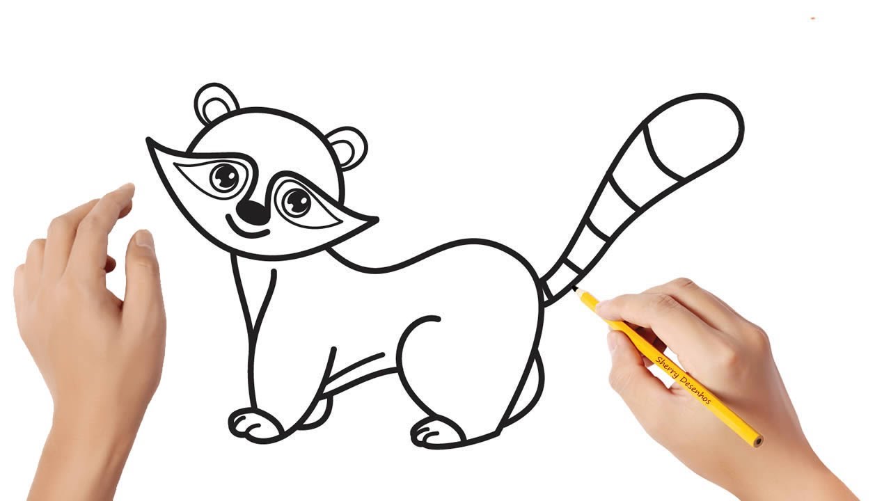 Como desenhar um guaxinim