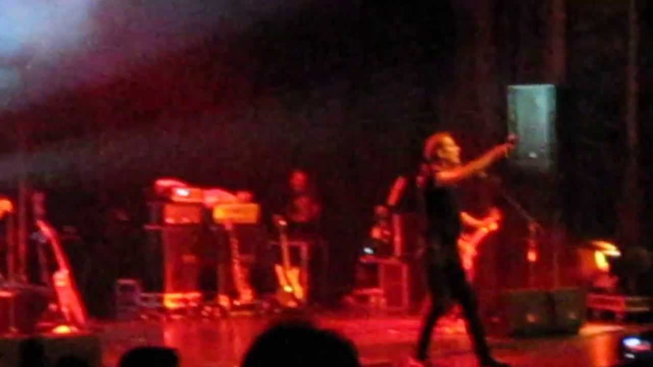 Transmission _ Peter Murphy