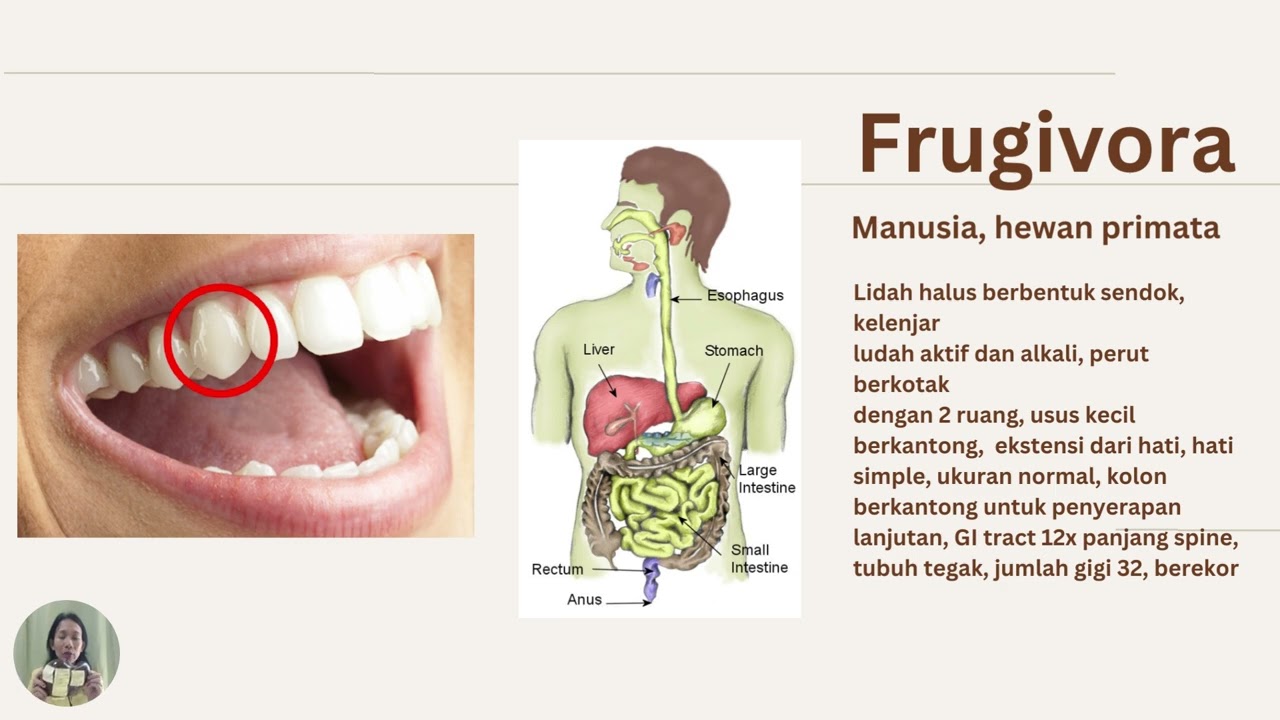 Chapter 1 - Frugivora