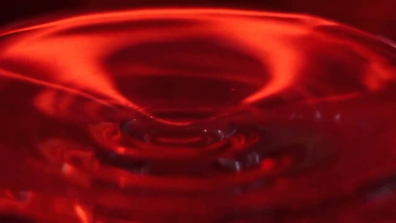 SzZsK - Transzparencia - Sz&iacute;nes - BKF-KAM 2012-2013