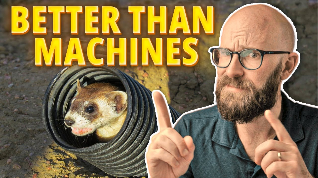 Strangest Uses of Trained Animals