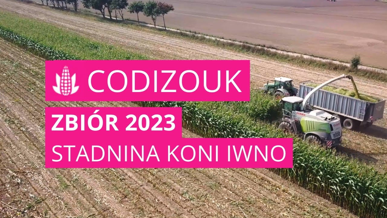 Zbiór CODIZOUK