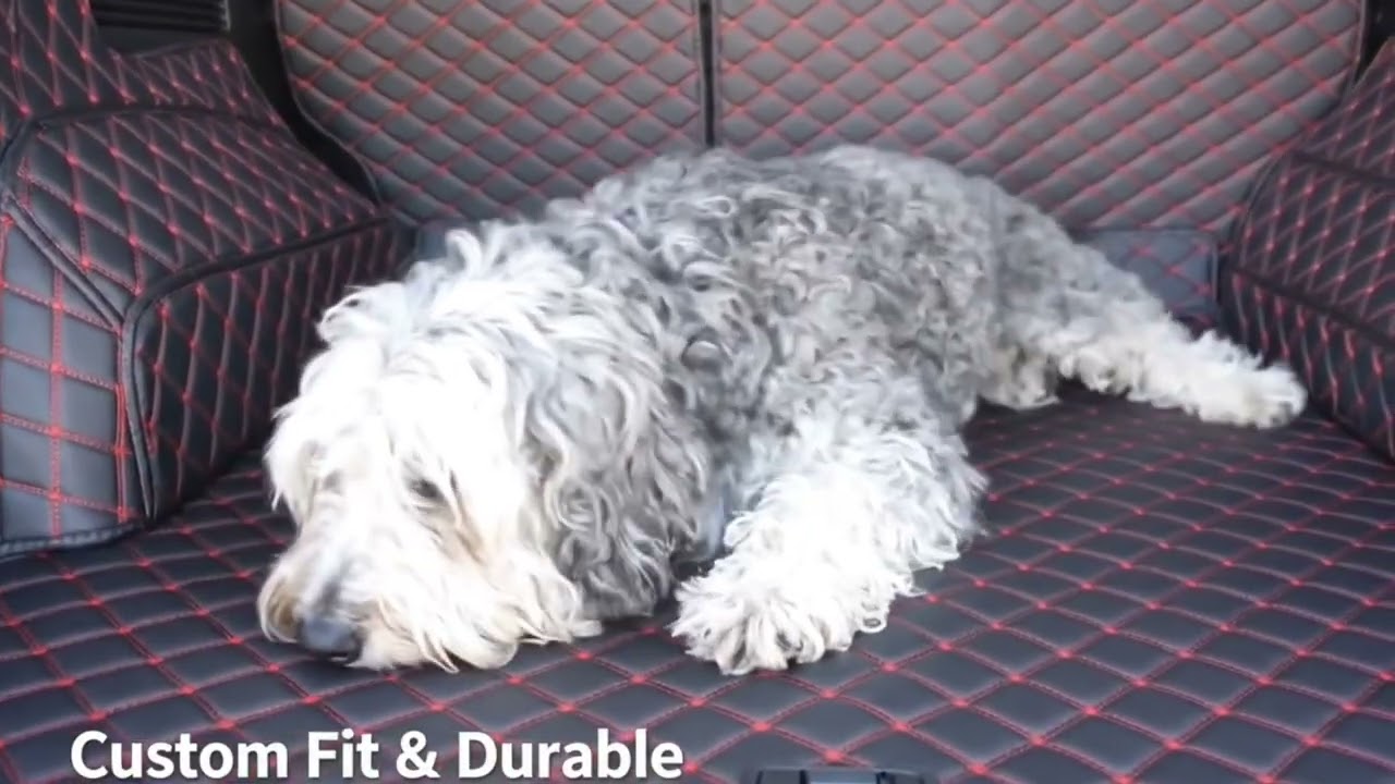 The ultimate VIP lounge for your best friend. 🐶🚙💨