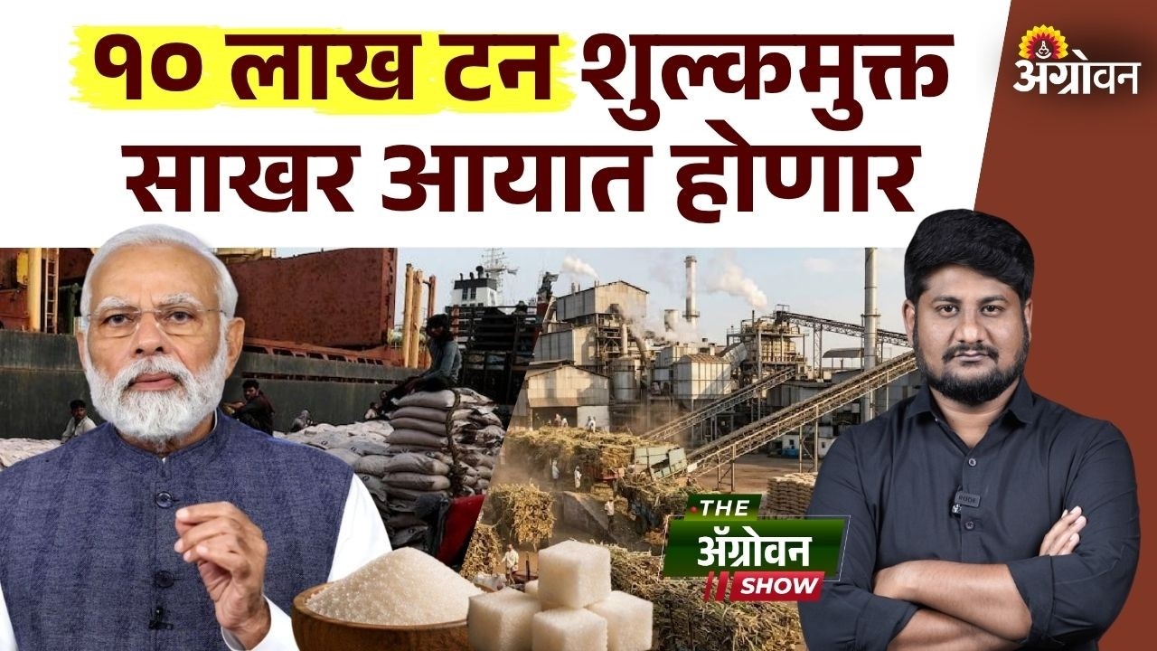 Sugar Import : केंद्र सरकारच्या साखर आयातीमुळे साखर दरावर काय परिणाम होईल? | Agrowon