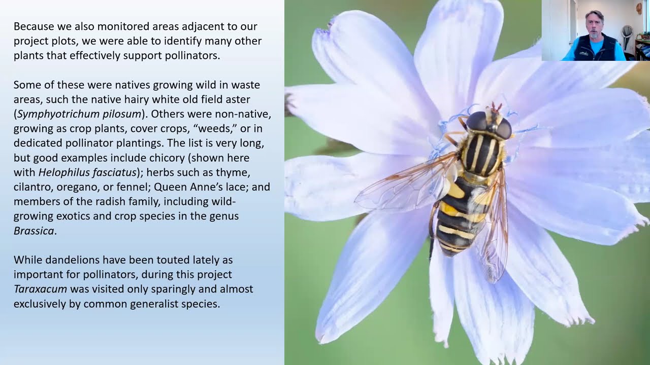 Vineyard Farm Pollinator Study - Webinar