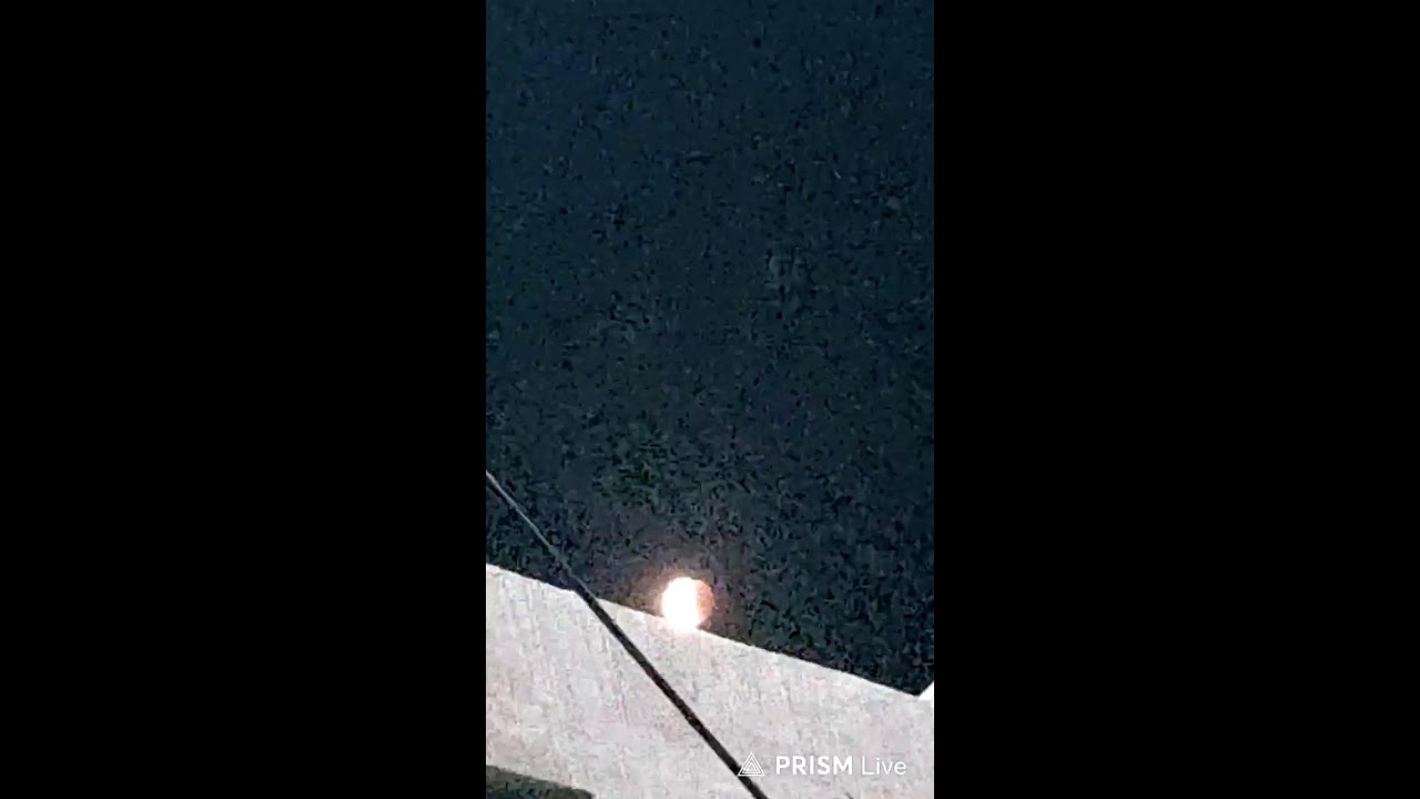 이클립스냥 라이브 방송
