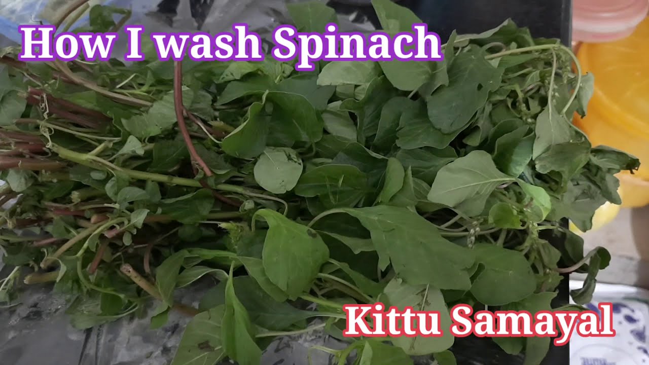 How I wash #Spinach Keerai/கீரை சுத்தம் செய்வது எப்படி/ഞാൻ ചീര കഴുകുന്നതെങ്ങനെ #kittusamayal #wash